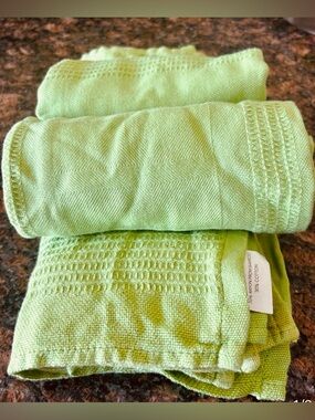 Bamboo Dishcloths Dish Towels Green NWOT Dishrags Kitchen Clean